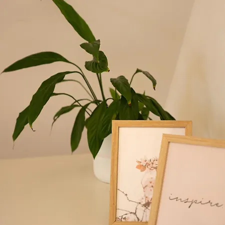 Gaestehaus Stoll - 3 Schlafzimmer, Nahe Flughafen & Messe Апартаменты *